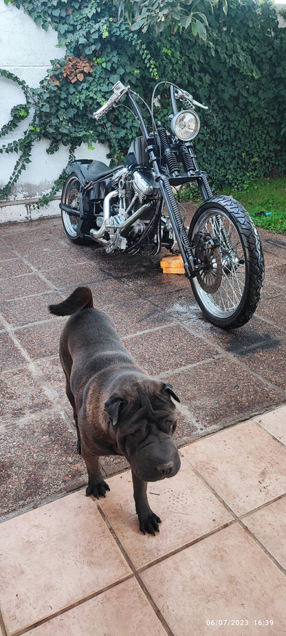 Harley-Davidson Chopper Revtech 1.840cc 2022 (3.500 km)