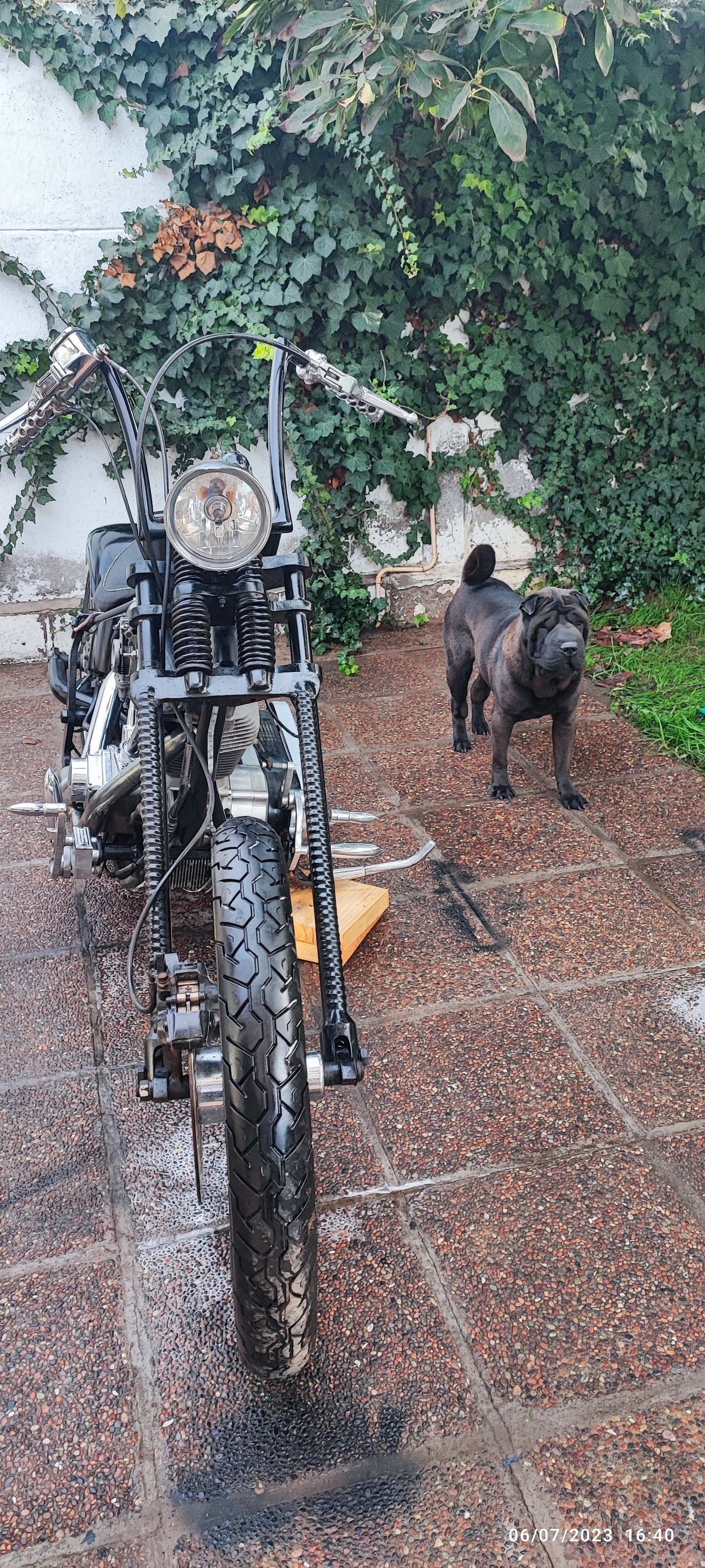Harley-Davidson Chopper Revtech 1.840cc 2022 (3.500 km)