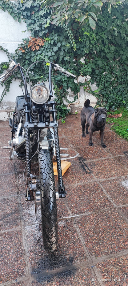 Harley-Davidson Chopper Revtech 1.840cc 2022 (3.500 km)